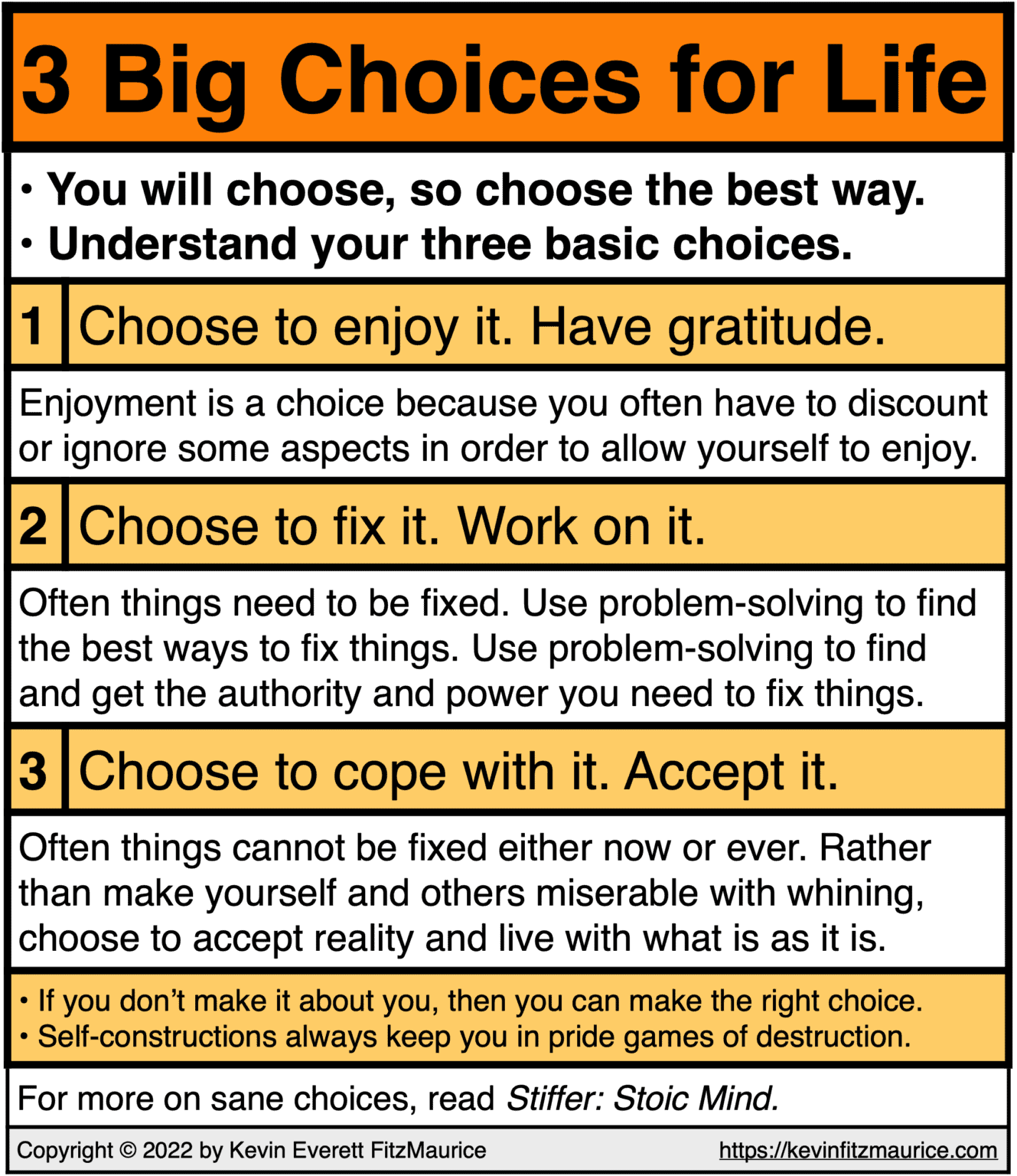 3 Big Choices Kevin Everett FitzMaurice