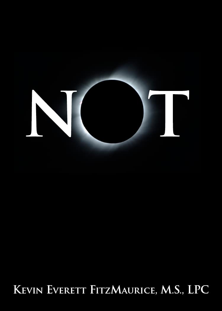 Book cover for Not