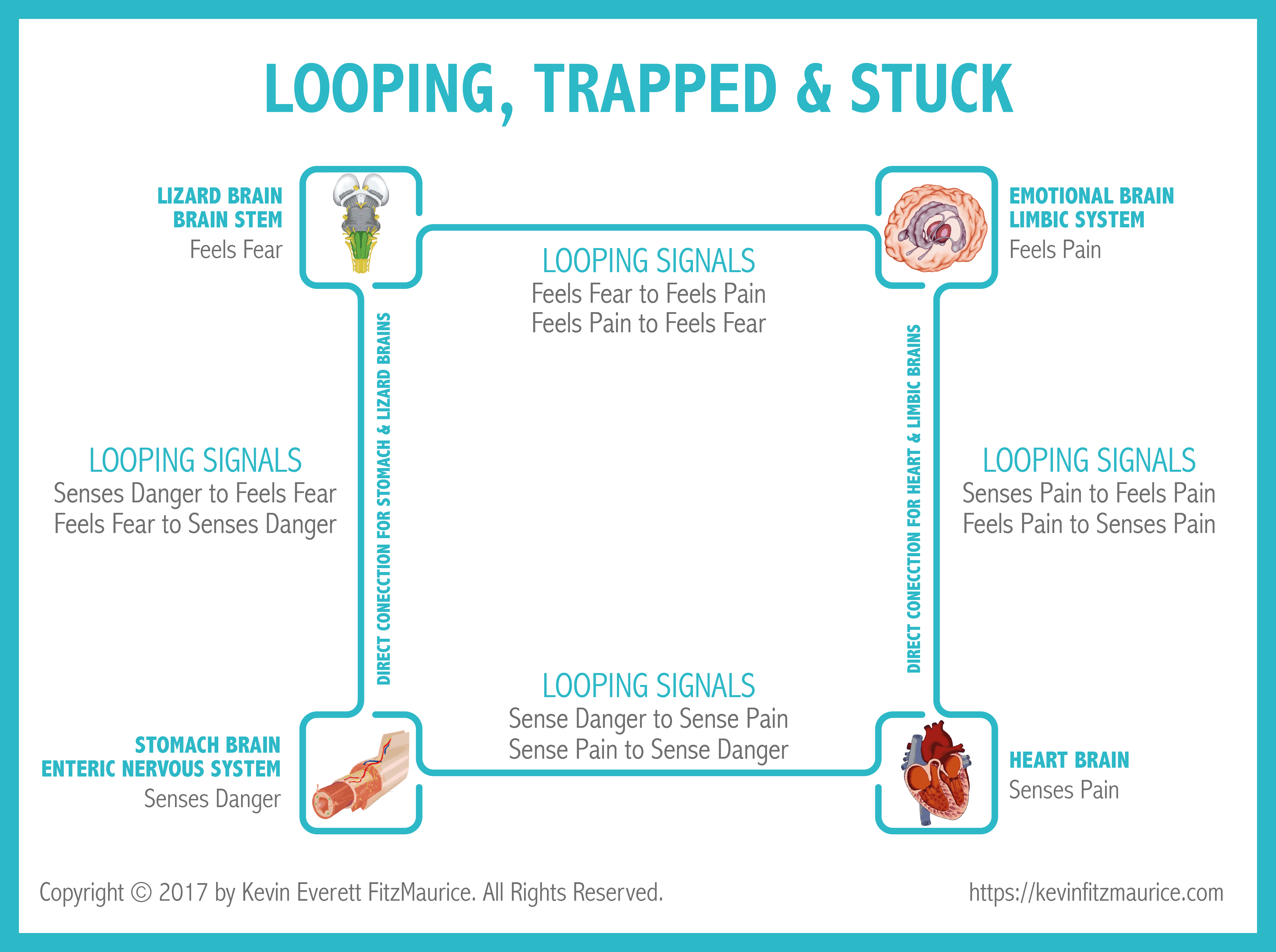 Diagram of how we loop between brains.